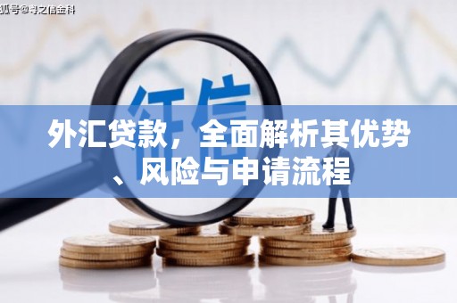 古坑外汇贷款，全面解析其优势、风险与申请流程