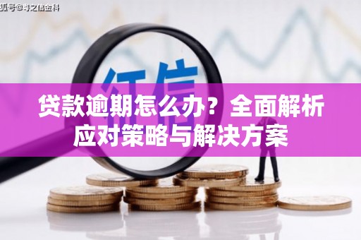 古坑贷款逾期怎么办？全面解析应对策略与解决方案