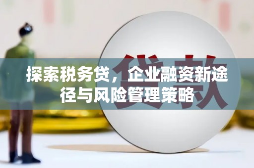 古坑探索税务贷，企业融资新途径与风险管理策略