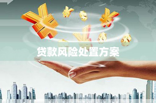 古坑贷款风险处置方案
