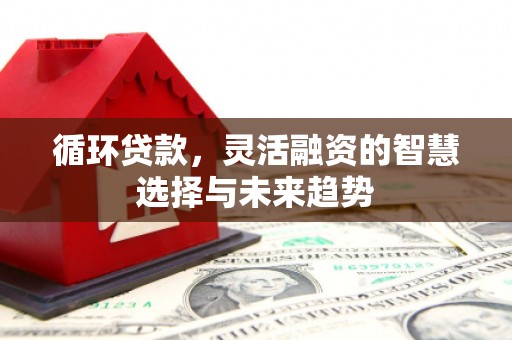 古坑循环贷款，灵活融资的智慧选择与未来趋势