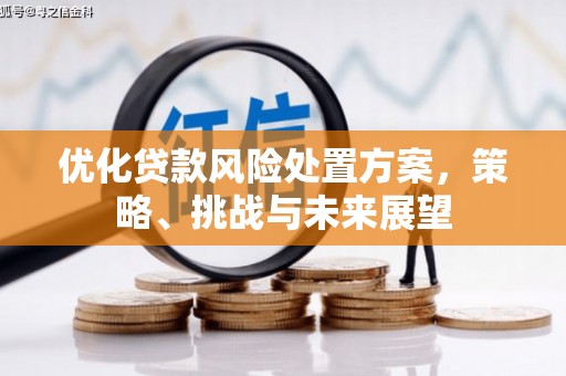 古坑优化贷款风险处置方案，策略、挑战与未来展望