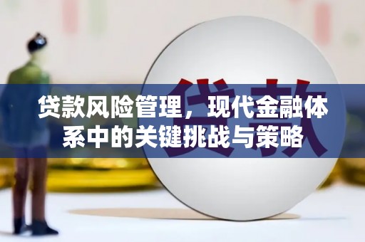 古坑贷款风险管理，现代金融体系中的关键挑战与策略