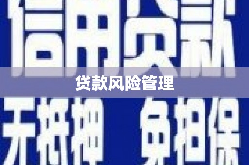 古坑贷款风险管理