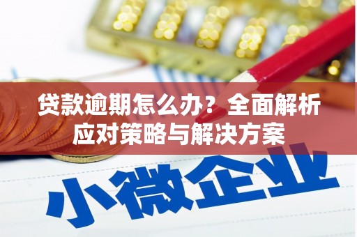 古坑贷款逾期怎么办？全面解析应对策略与解决方案