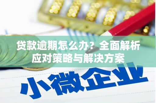 古坑贷款逾期怎么办？全面解析应对策略与解决方案