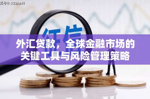 古坑外汇贷款，全球金融市场的关键工具与风险管理策略