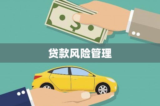 古坑贷款风险管理