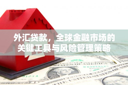 古坑外汇贷款，全球金融市场的关键工具与风险管理策略