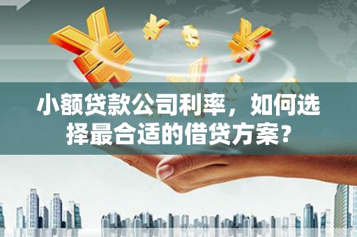 古坑小额贷款公司利率，如何选择最合适的借贷方案？