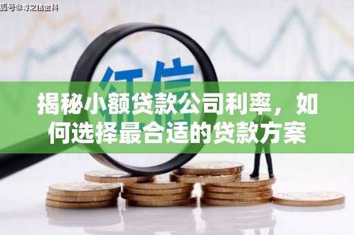 古坑揭秘小额贷款公司利率，如何选择最合适的贷款方案