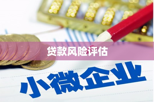 古坑贷款风险评估