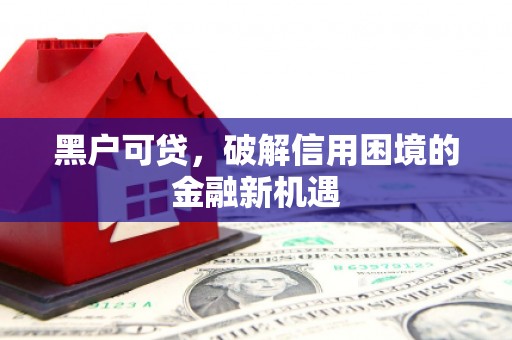 古坑黑户可贷，破解信用困境的金融新机遇