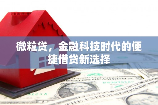 古坑微粒贷，金融科技时代的便捷借贷新选择