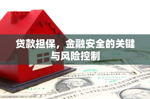 古坑贷款担保，金融安全的关键与风险控制