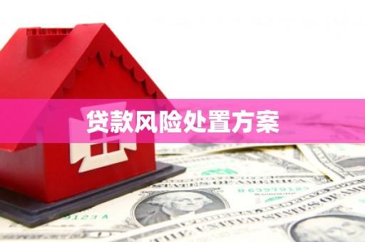 古坑贷款风险处置方案
