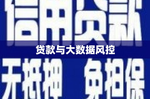 古坑贷款与大数据风控