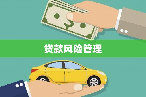 古坑贷款风险管理